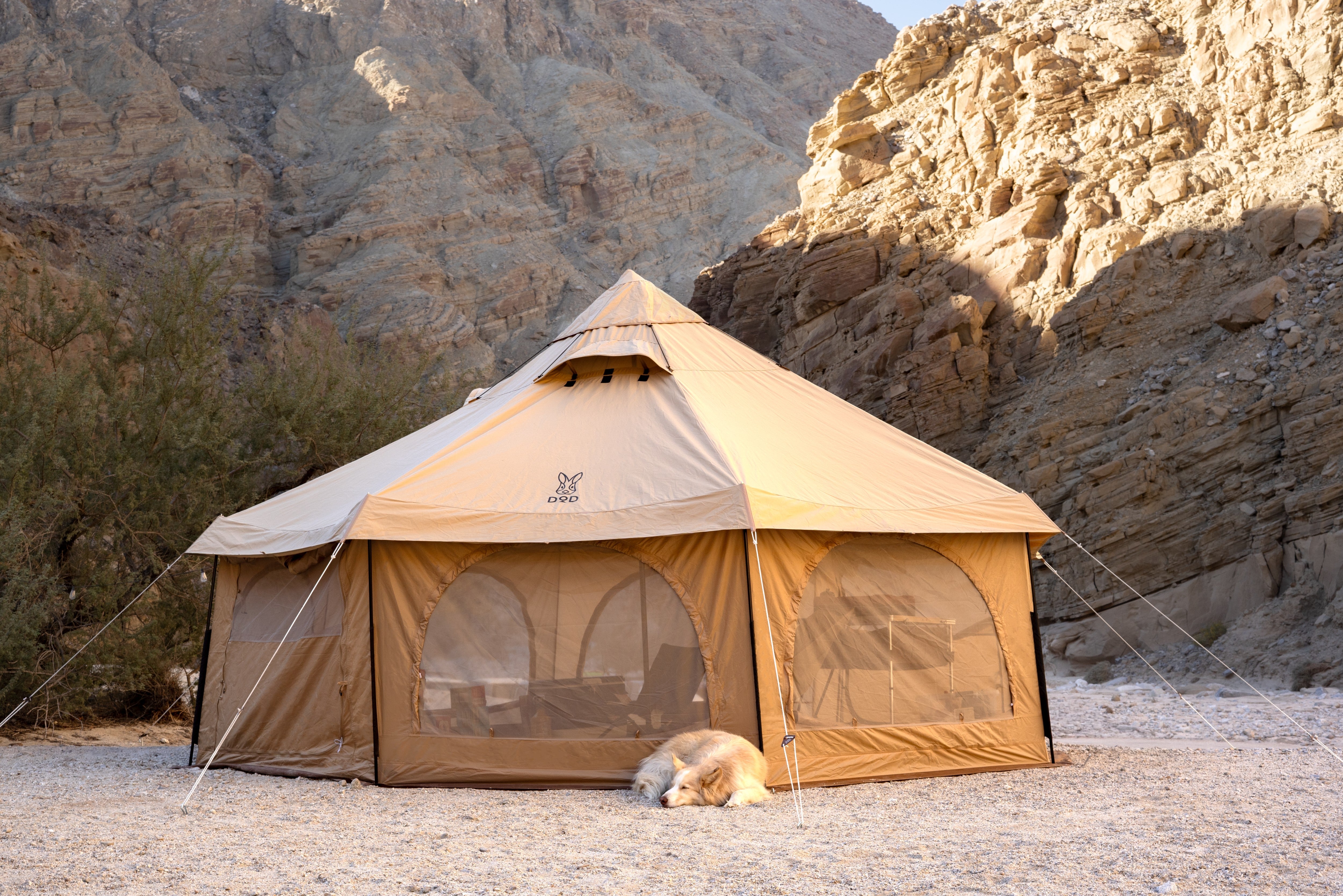 TAKENOKO TENT 2 使用3回 TAKENOKO TENT 2 使用3回 DOD TAKENOKO TENT2