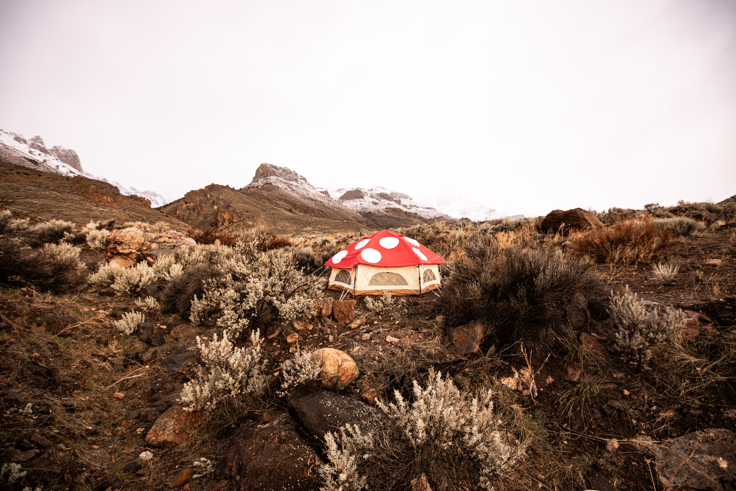 Kinoko Mushroom Tent (S) with red white polka dots in rocky arid terrain