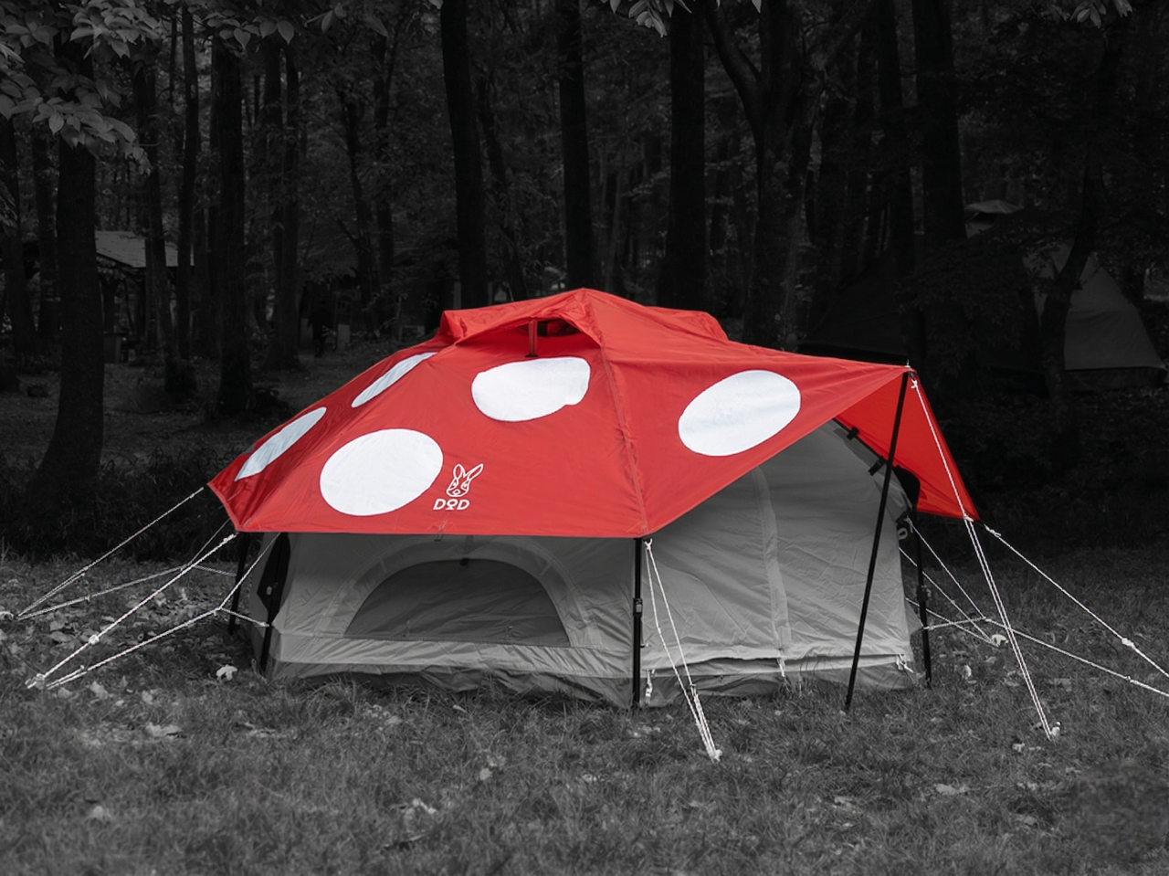 tent rainfly Kinoko Rainfly (S)