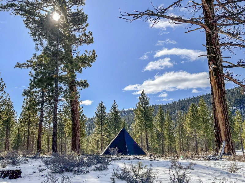 Scout Tent