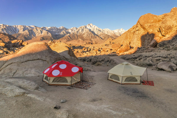 Kinoko Mushroom Tent 1 Kinoko Mushroom Tent