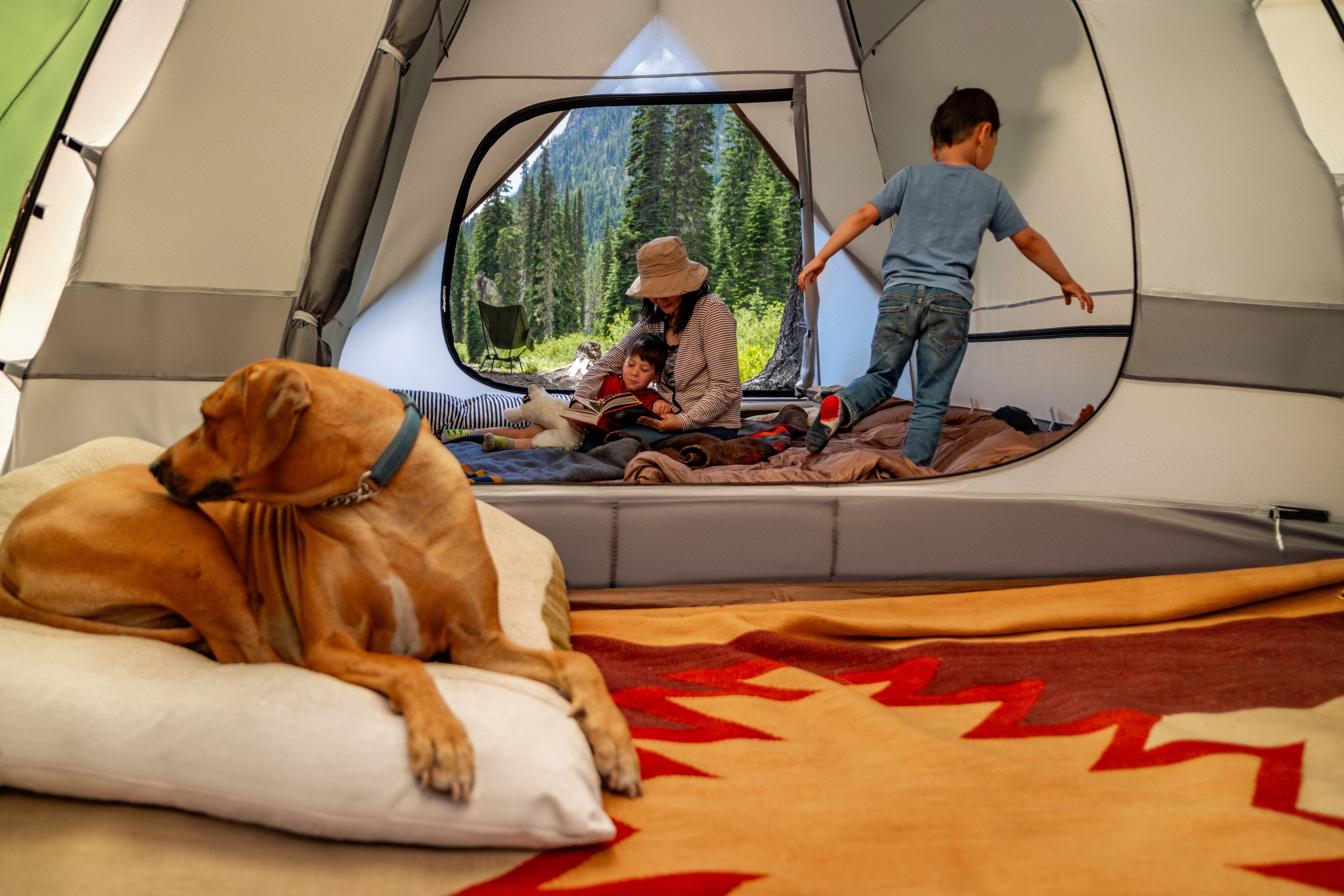 DOD THE TENT M ザテント 1_7.jpg?crop=center&height=