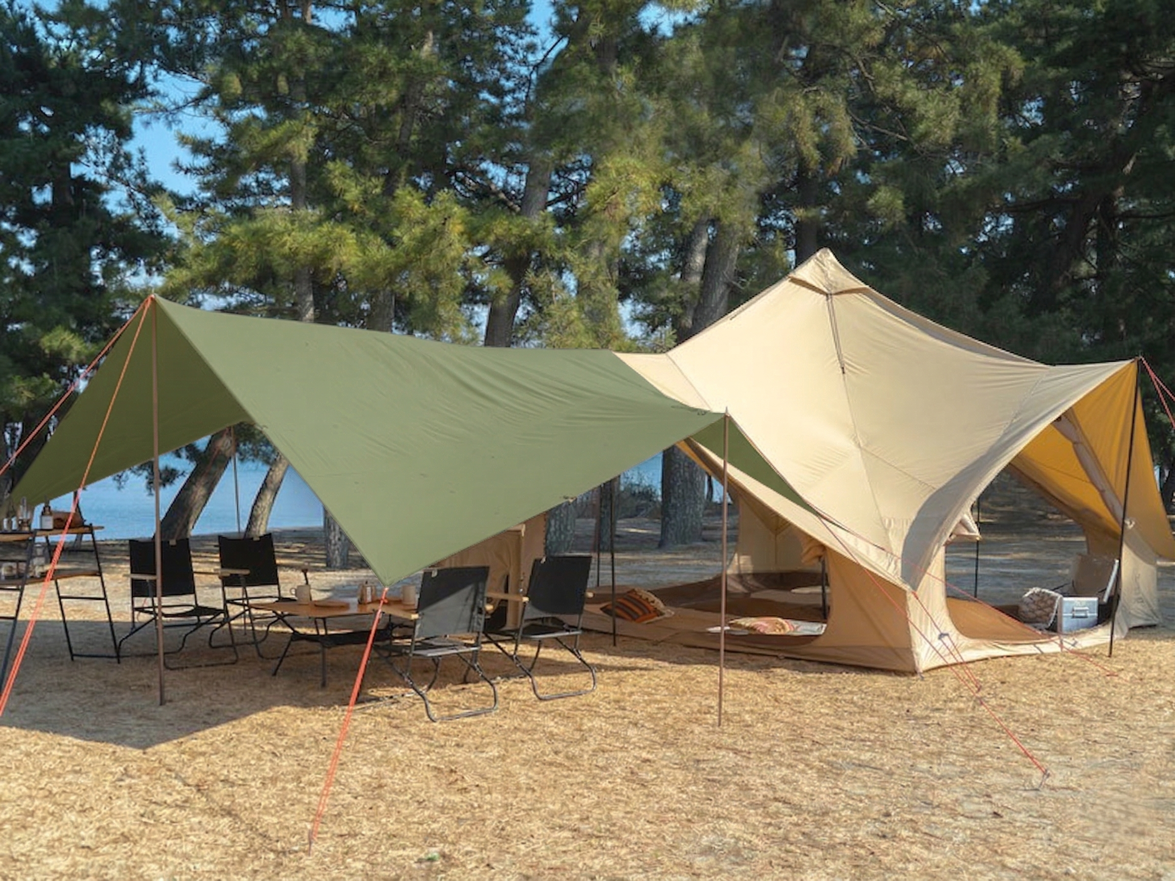 dinkum move base tent Home Base + Awning Bundle