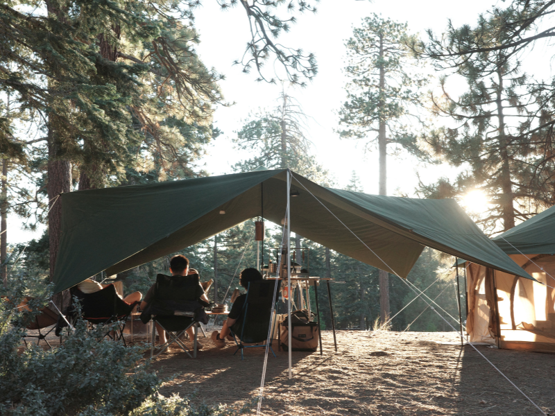 Kama Tarp