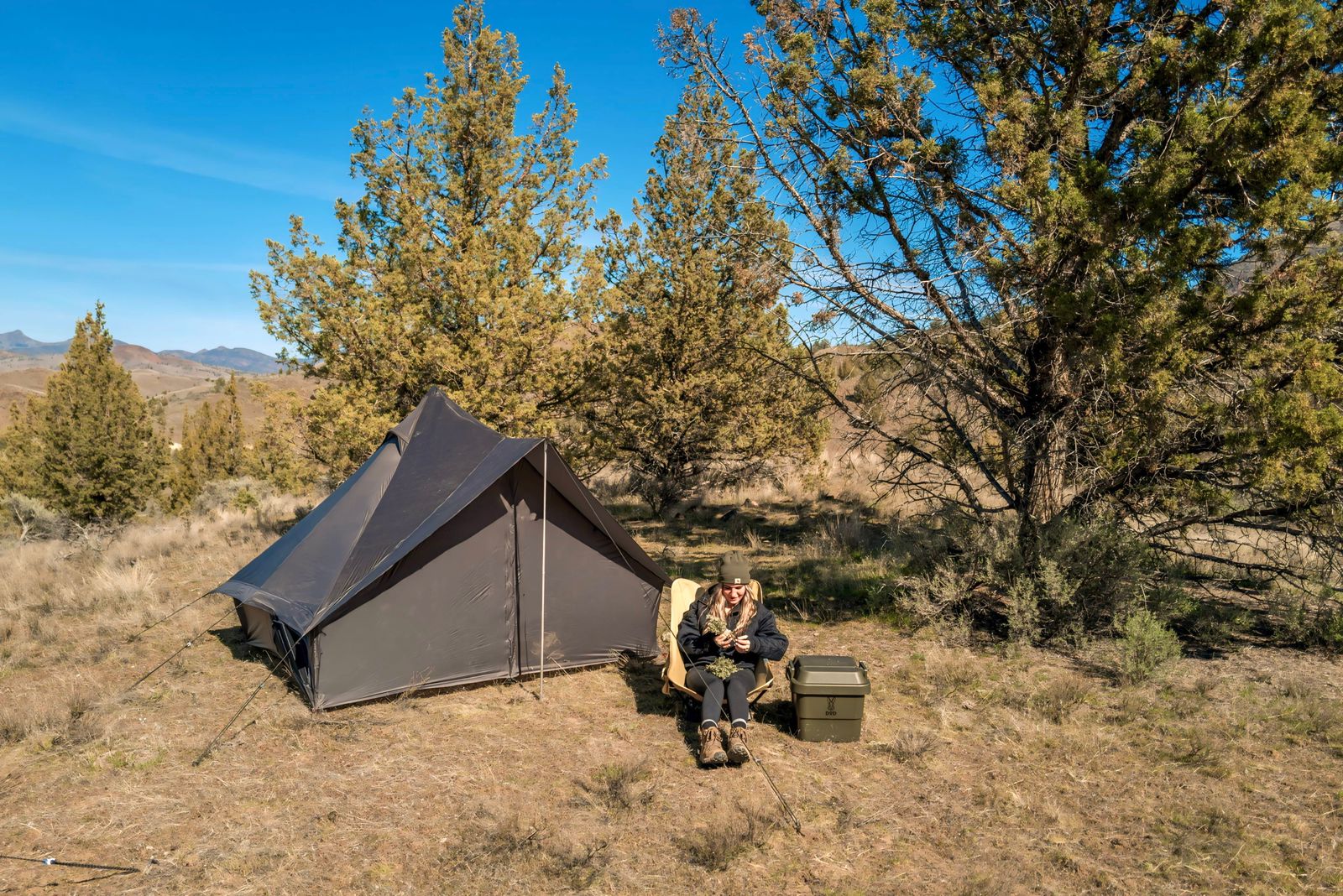 Tents